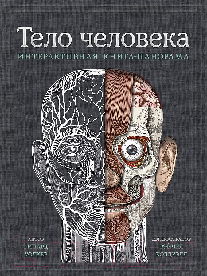 Энциклопедия Эксмо Тело человека. Интерактивная книга-панорама (Уолкер Р.)