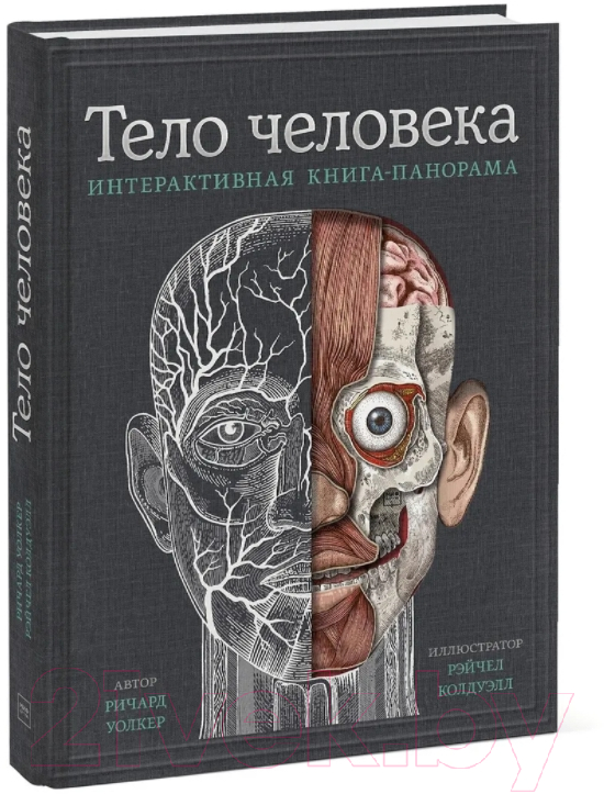 Энциклопедия Эксмо Тело человека. Интерактивная книга-панорама (Уолкер Р.)