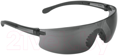 Защитные очки Truper LEN-LN / 15290 (серый)