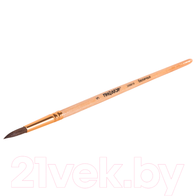 Кисть для рисования Пифагор Беличья №5 / 200819 (круглая)