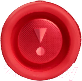 Портативная колонка JBL Flip 6 (красный)