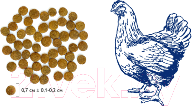 Корм для кошек Brit Premium Cat Adult Chicken / 5049653 (8кг)