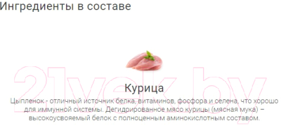 Изображение товара Лакомство для собак Molina Куриное филе / 4870 (50г)