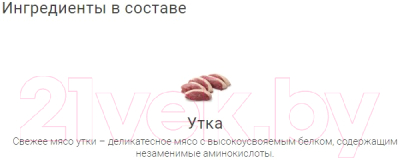 Изображение товара Лакомство для собак Molina Утиный хворост / 4887 (50г)