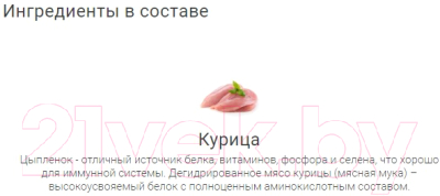 Изображение товара Лакомство для собак Molina Куриный хворост / 1443-1 (50г)