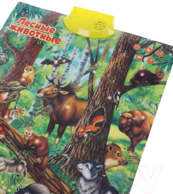 Развивающий плакат Наша игрушка Лесные животные / 636227
