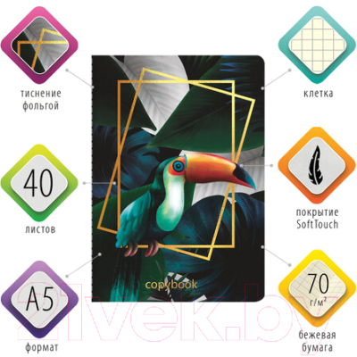 Изображение товара Тетрадь Brauberg Тукан / 403775 (40л, клетка)