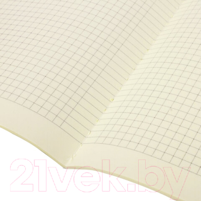 Изображение товара Тетрадь Brauberg Тукан / 403775 (40л, клетка)