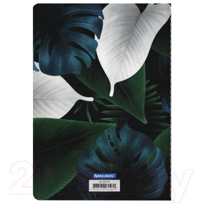 Изображение товара Тетрадь Brauberg Тукан / 403775 (40л, клетка)