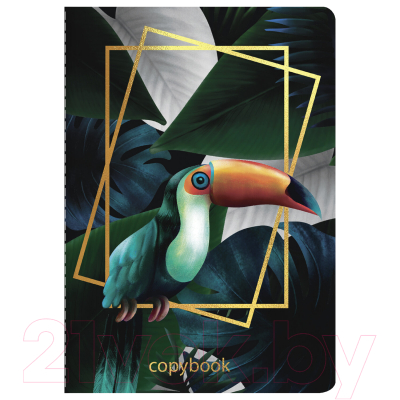 Изображение товара Тетрадь Brauberg Тукан / 403775 (40л, клетка)