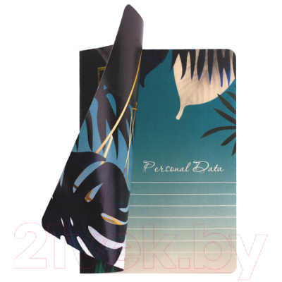 Изображение товара Тетрадь Brauberg Тукан / 403775 (40л, клетка)