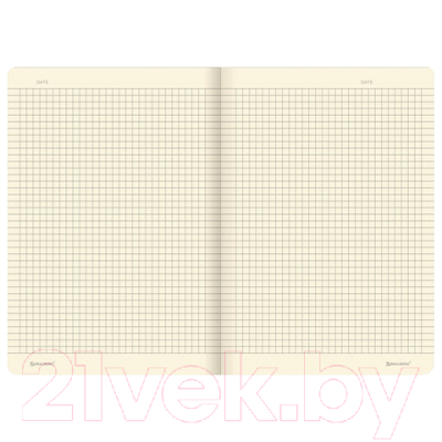 Изображение товара Тетрадь Brauberg Тукан / 403775 (40л, клетка)