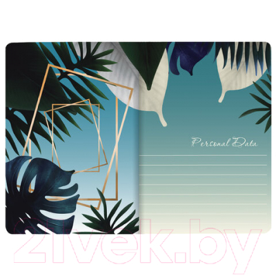 Изображение товара Тетрадь Brauberg Тукан / 403775 (40л, клетка)