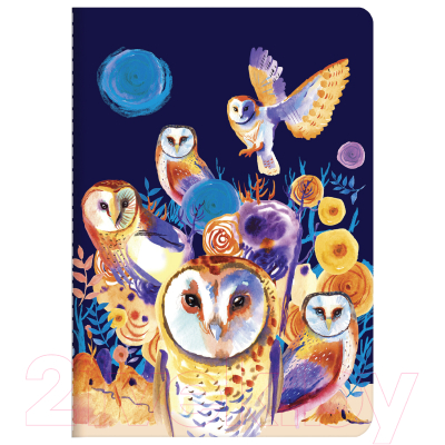 Изображение товара Тетрадь Brauberg Совы / 403780 (40л, клетка)