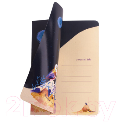 Изображение товара Тетрадь Brauberg Совы / 403780 (40л, клетка)