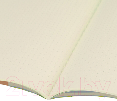 Изображение товара Тетрадь Brauberg Блаженство / 403800 (40л, точка)