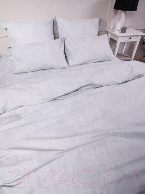 Комплект постельного белья Ночь нежна Перья Стандарт 1.5 сп. 70x70 / 9323-3  (серый)