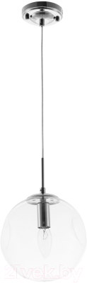 Потолочный светильник Arte Lamp Tureis A9920SP-1CC