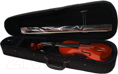 Скрипка Aileen VG-200 4/4 со смычком в футляре (натуральная)