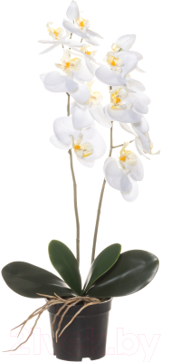 Искусственный цветок 4living Орхидея 612530