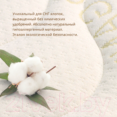 Матрас в кроватку Plitex Organic Cotton / ОРГ-16/1