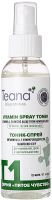 Тоник для лица Teana T1 Энергетический витаминный (125мл) - 