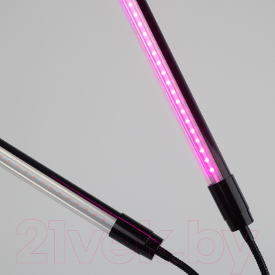 Изображение товара Светильник для растений ЭРА FITO-20W-АLED-N / Б0053059