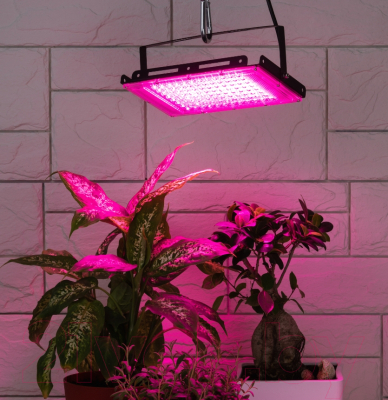 Светильник для растений ЭРА FITO-80W-RB-LED-Y / Б0053082