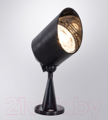 Светильник уличный Arte Lamp Elsie A1024AL-1BK