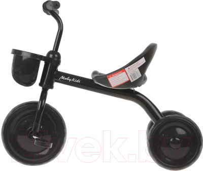 Трехколесный велосипед Moby Kids Енотик / 649082 (черный)