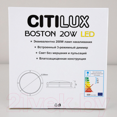 Потолочный светильник Citilux Бостон CL709201N