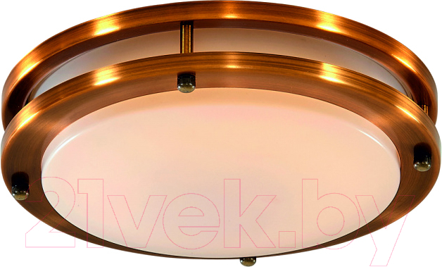 Потолочный светильник Citilux Бостон CL709203N