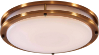 Потолочный светильник Citilux Бостон CL709503N - 