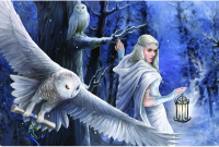 

Пазл, Super 3D Полуночный вестник / 10937