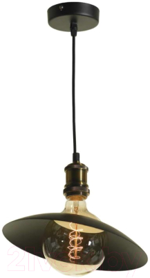 Потолочный светильник Lussole Loft LSP-9670