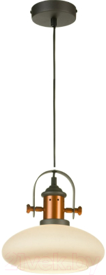 

Потолочный светильник Lussole, Loft LSP-9845