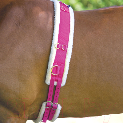 Гурта для лошади Shires Нейлоновая с флисовой подложкой COB / 469/RSPBRY/COB (розовый)