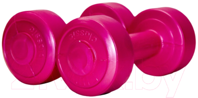 Изображение товара Набор гантелей EuroClassic EKDB-1-V (2x1кг, розовый)