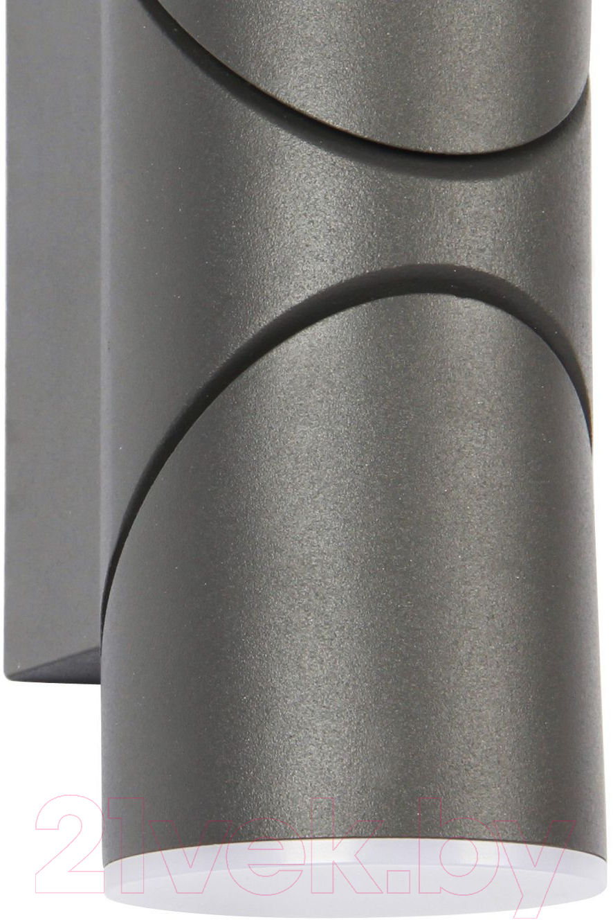 Бра уличное FAVOURITE Pilon 3028-2W — фото 3