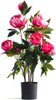 

Искусственный цветок Home and You, 63025-ROZ9-STRO-H0080