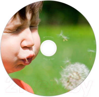 Набор дисков DVD-R Verbatim 4.7Гб AZO Wide Inkjet Printable / 43538 (25шт)