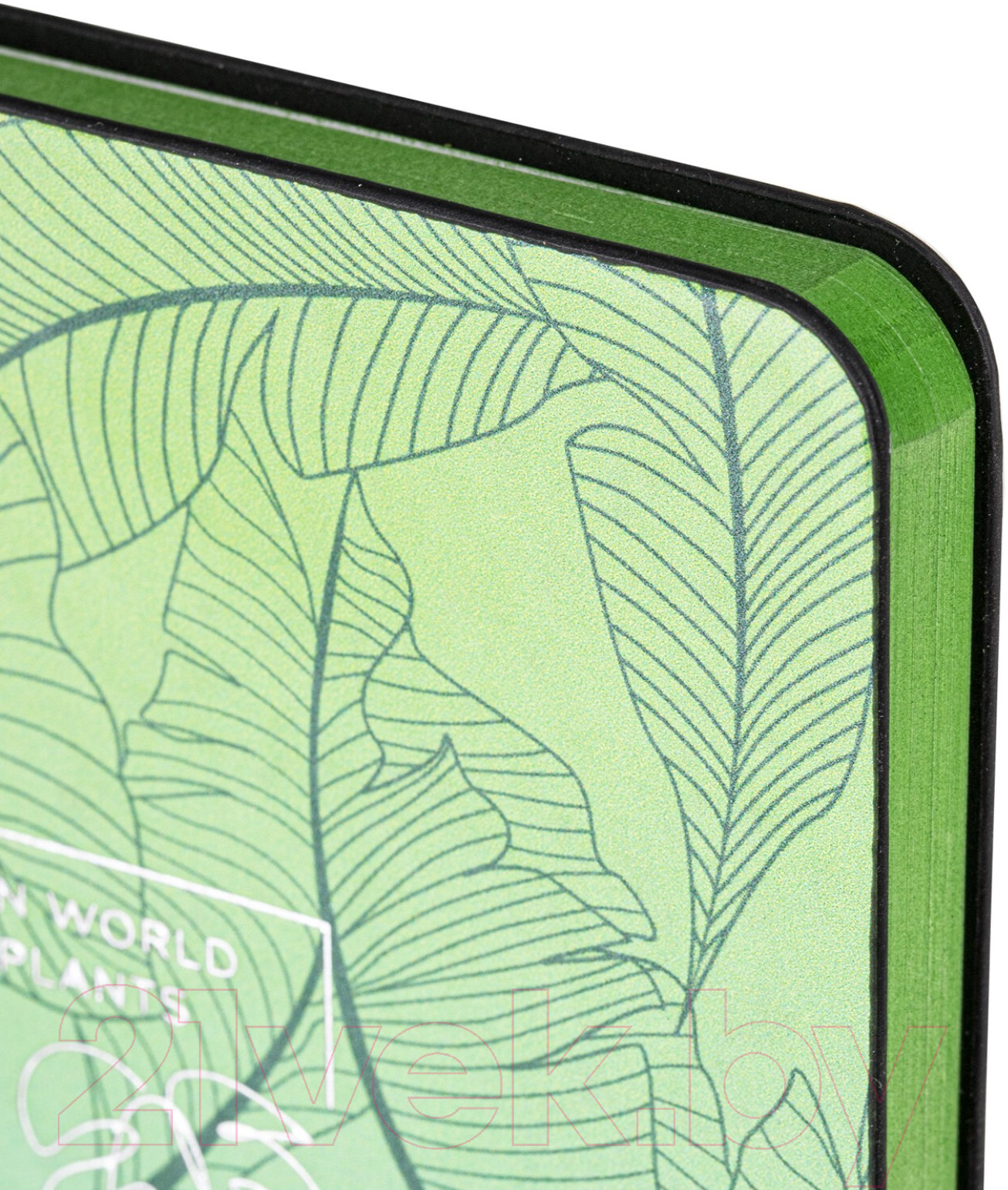 Записная книжка Brauberg Vista Monstera / 112093 — фото 3