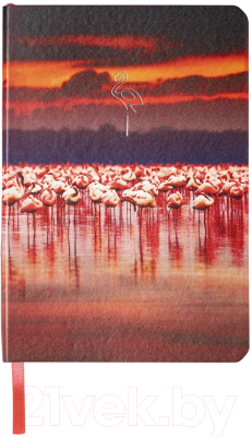 Записная книжка Brauberg Vista Flamingo / 112099