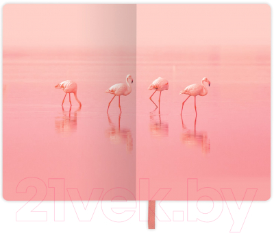 Записная книжка Brauberg Vista Flamingo / 112099