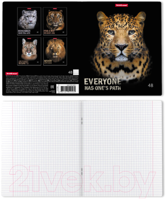 Изображение товара Тетрадь Erich Krause Strong And Brave / 54258 (48л)