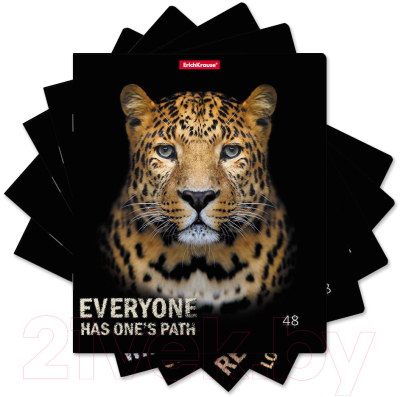 Изображение товара Тетрадь Erich Krause Strong And Brave / 54258 (48л)