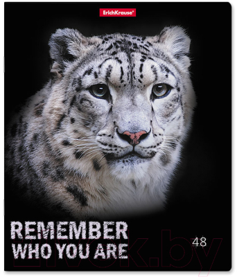 Изображение товара Тетрадь Erich Krause Strong And Brave / 54258 (48л)