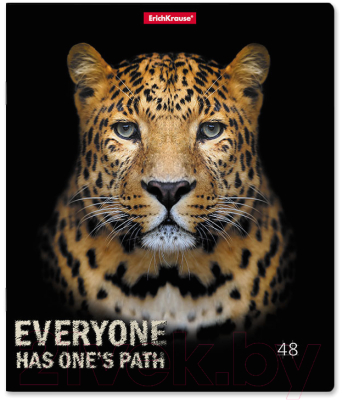 Изображение товара Тетрадь Erich Krause Strong And Brave / 54258 (48л)