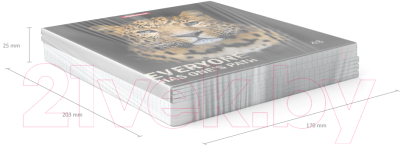 Изображение товара Тетрадь Erich Krause Strong And Brave / 54258 (48л)