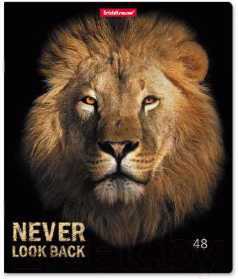 Изображение товара Тетрадь Erich Krause Strong And Brave / 54258 (48л)